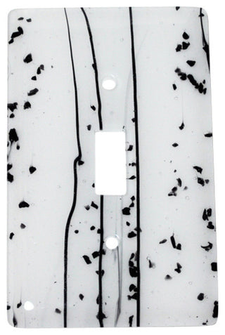 Wall Plate Switch