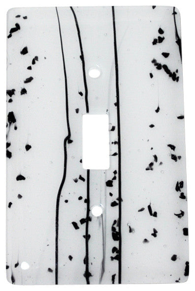 Wall Plate Switch