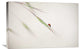 "Untitled" Stretched Canvas Giclee by Anna Cseresnjes, 30"x20"