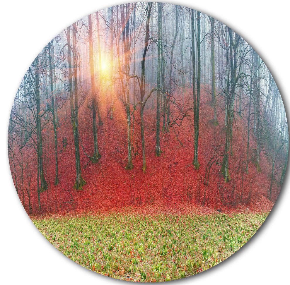 Spring Flowers With Snowdrops, Landscape Photo Disc Metal Artwork, 38"