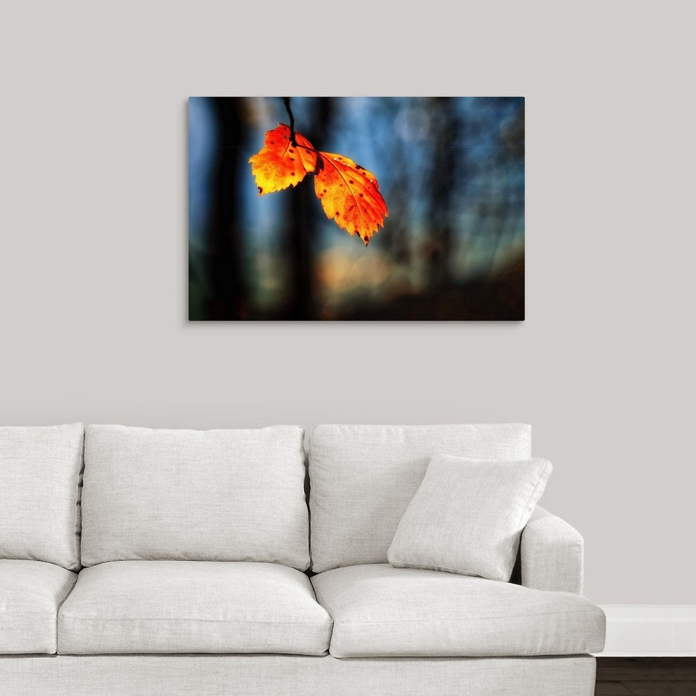 "The Making of Orange" Wrapped Canvas Art Print, 36"x24"x1.5"