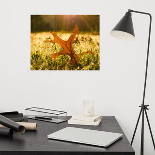 Fall Leaf in Morning Sun - Autumn Nature Photograph Unframed Wall Art Print, 16" X 20"