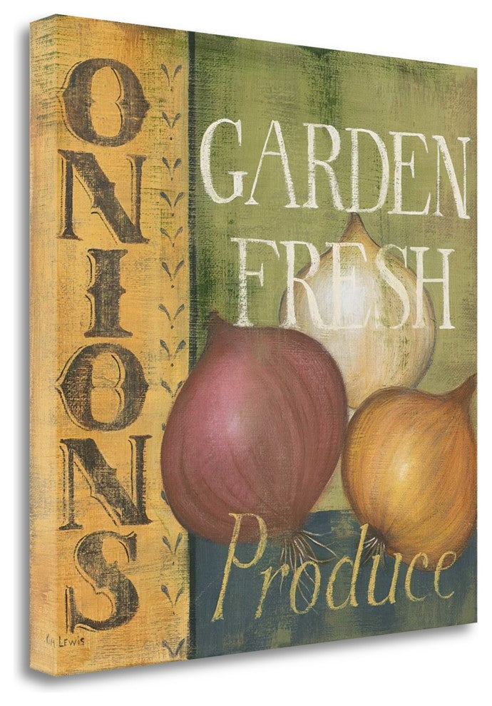 "Onions" By Kim Lewis, Giclee Print on Gallery Wrap Canvas, Ready to Hang