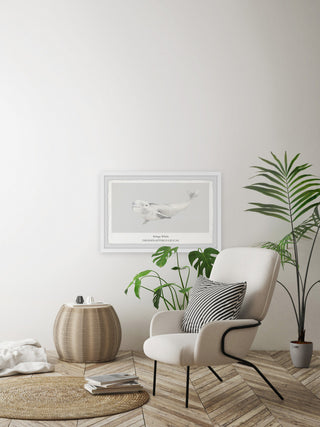 "Beluga Whale" Framed Painting Print, 36x24