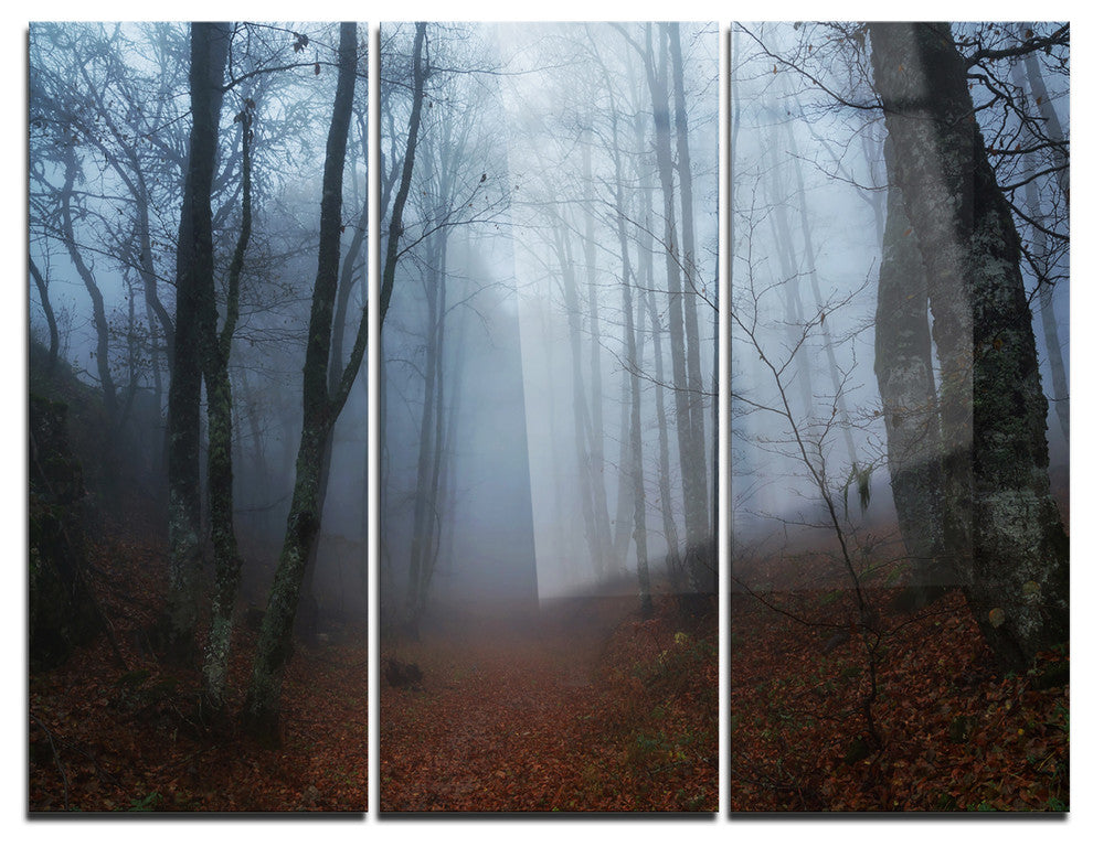 "Autumn Rainy Forest in Crimea" Photo Metal Wall Art, 3 Panels, 36"x28"