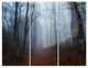 "Autumn Rainy Forest in Crimea" Photo Metal Wall Art, 3 Panels, 36"x28"