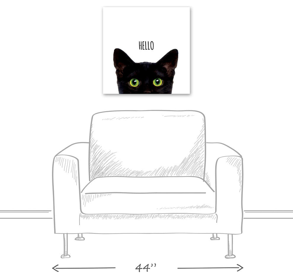 Designs Direct Curious Hello Black Cat 20x20 Canvas Wall Art