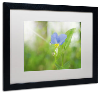 PIPA Fine Art 'Asiatic Dayflower' Matted Framed Art, 20x16