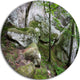 Deep Moss Forest With Rocks, Landscape Disc Metal Artwork, 11"