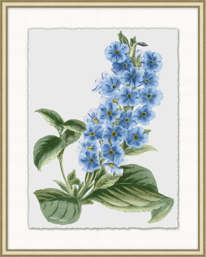 Floral Study 4, Giclee Reproduction Artwork