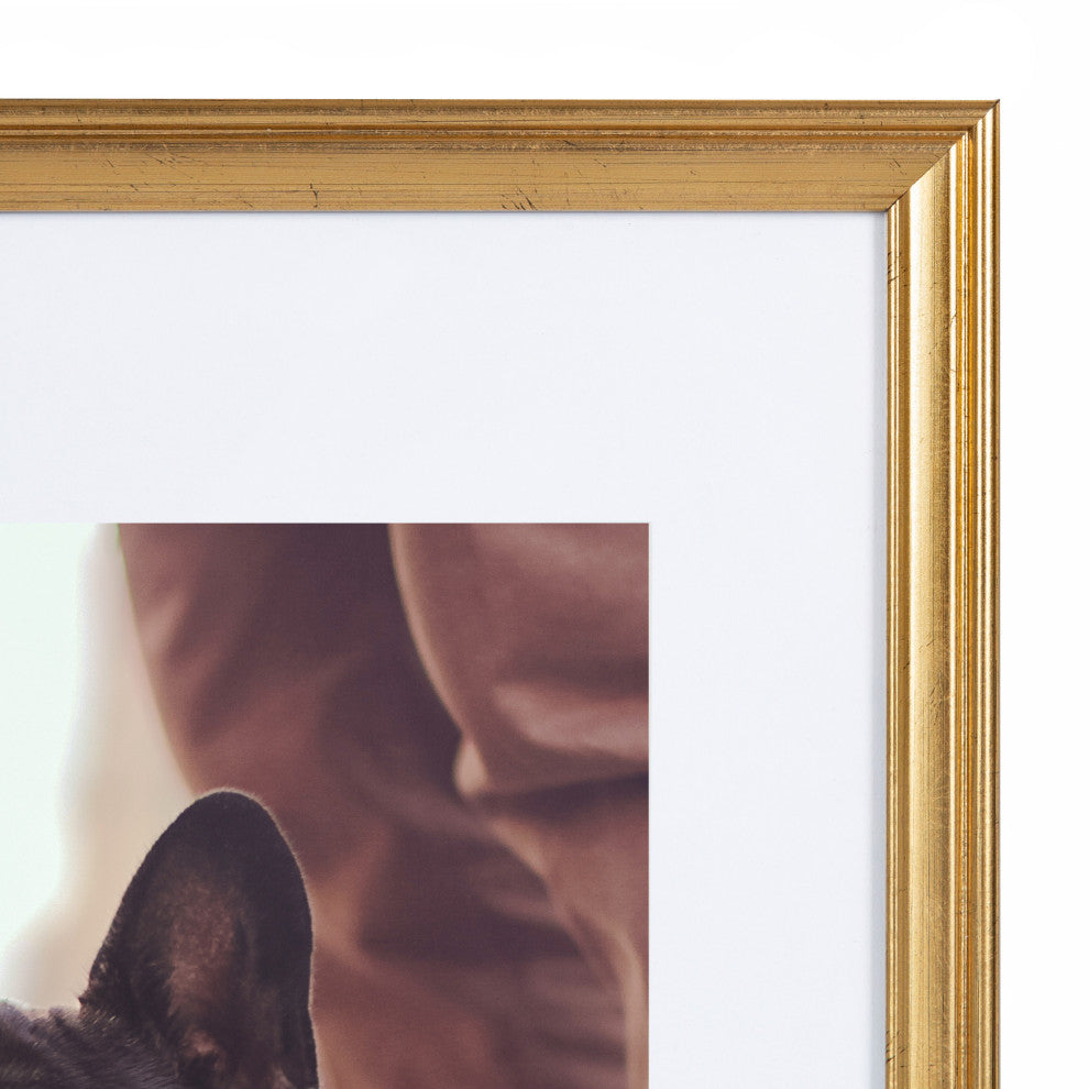 Adlynn Photo Frame Set, Gold, 11x14 Matted to 8x10