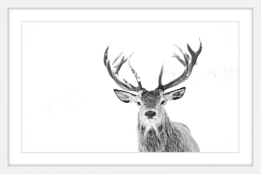 Marmont Hill, "Majestic Antlers" Framed Painting Print, 36x24