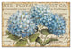 Blue Hydrangeas Paper Placemat, Pack of 24