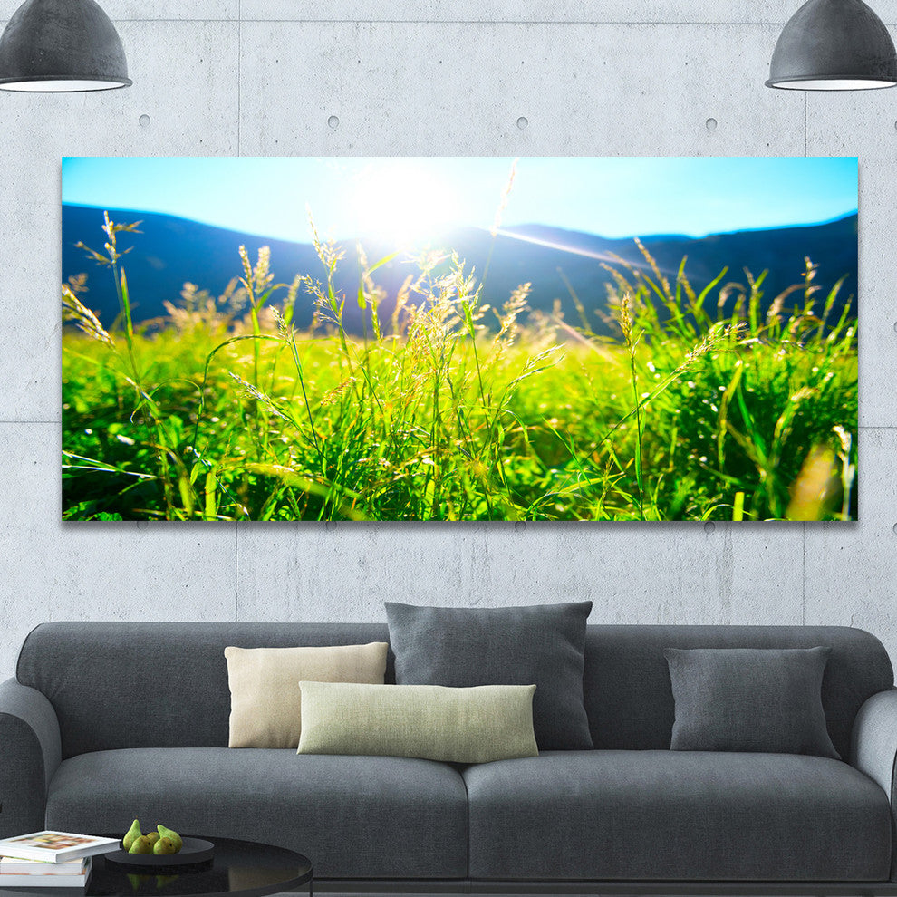 Beautiful Green Nature Wonder, Landscape Canvas Art Print, 60"x28"