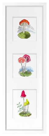 Mushroom Scene Fine Art Print, White, 36"x12"
