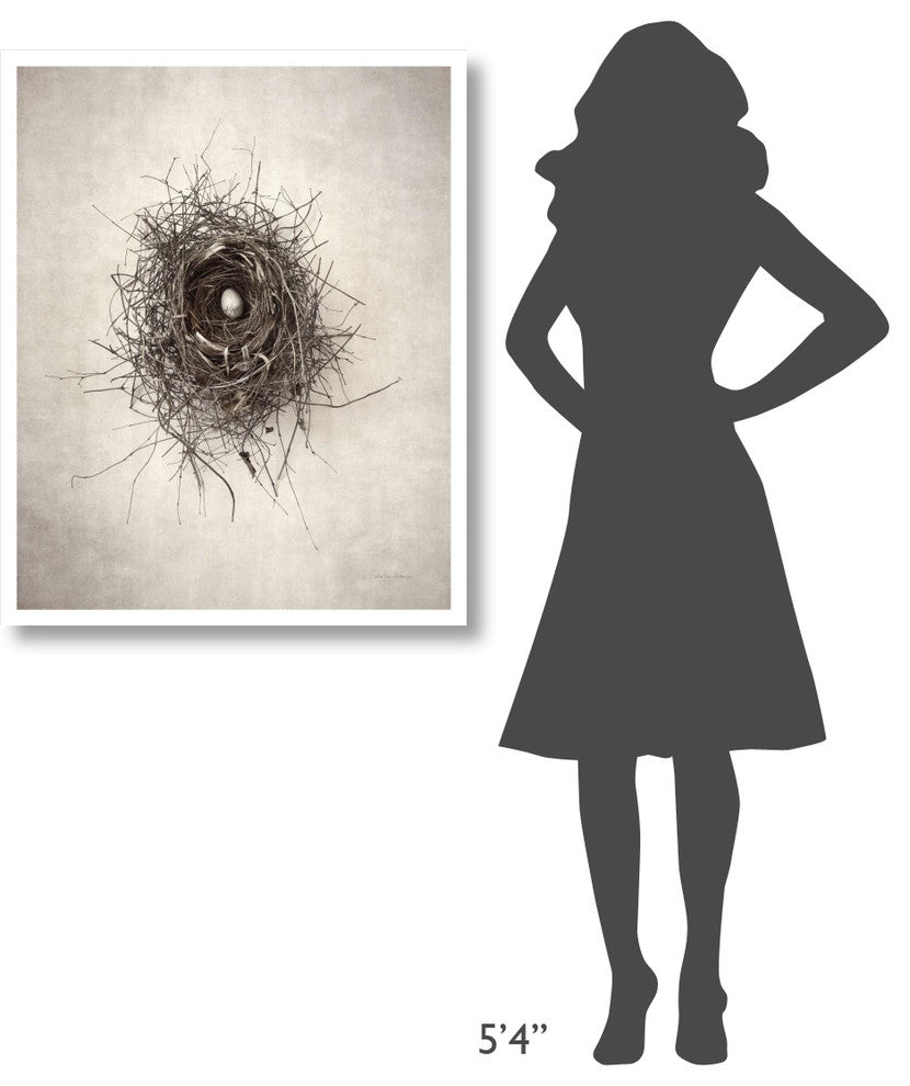 "Nest I" Digital Paper Print by Debra Van Swearingen, 30"x37"