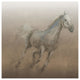 "Stallion I on Leather" Digital Paper Print by James Wiens, 26"x26"