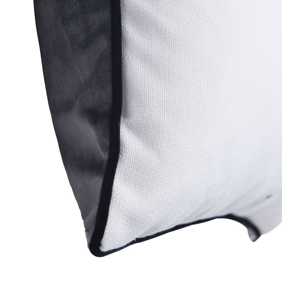 Dann Foley Double Sided Pillow Einstein Quote Gray Velvet 24" X 24"