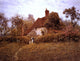 Helen Allingham Cottage at Pinner, 21"x28" Wall Decal