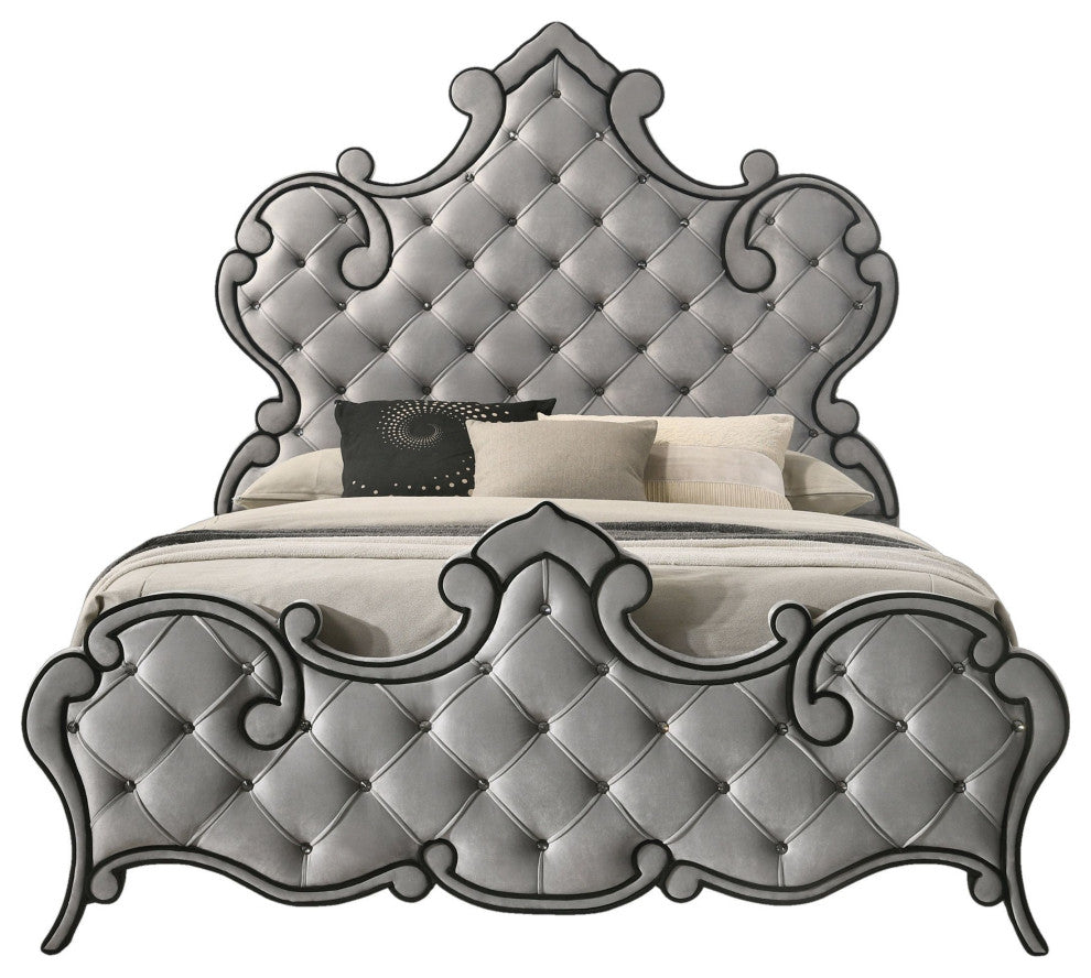 ACME Perine Queen Bed, Gray Velvet