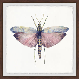 "Pink and Blue Wings" Framed Painting Print, 18"x18"