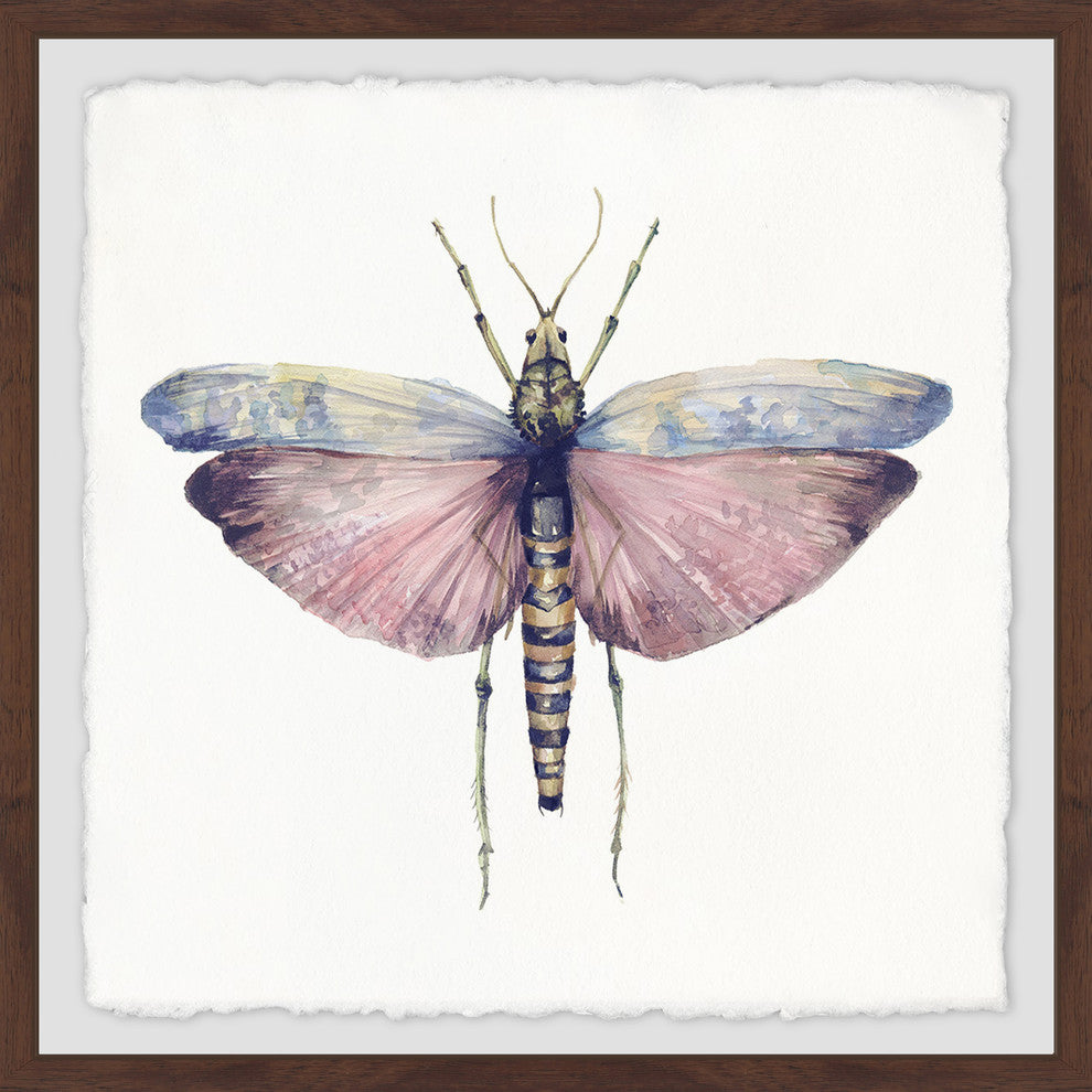 "Pink and Blue Wings" Framed Painting Print, 18"x18"