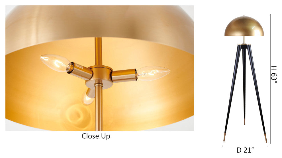 Black Frame With Gold Metal Shade and Hardware Floor Lamp