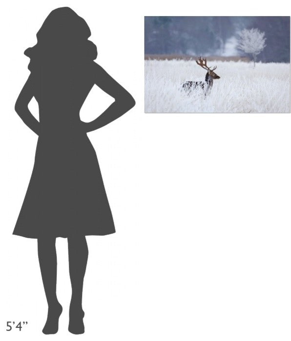 "Fallow Deer In The Frozen Winter Landscape" Canvas by Allan Wallberg, 30x20"