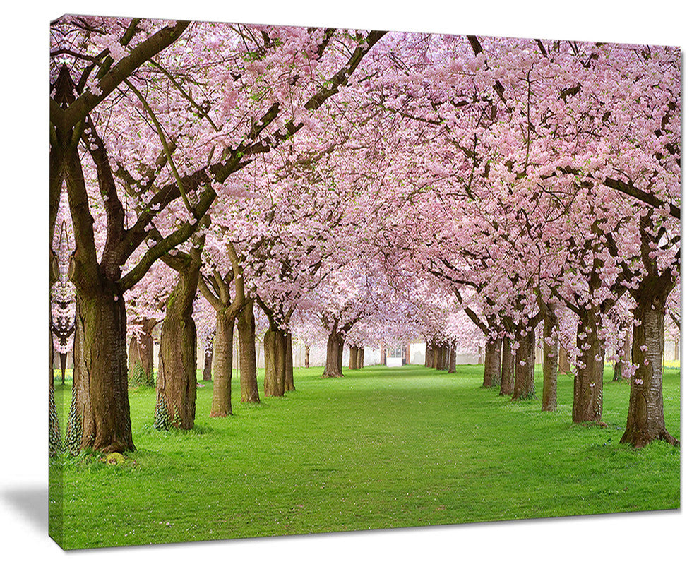 "Stunning Cherry Blossoms Plenitude" Landscape Art Print Canvas, 20"x12"