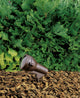 High Intensity Discharge 6.25" Textured Architectural Bronze Accent 1-Light 120V