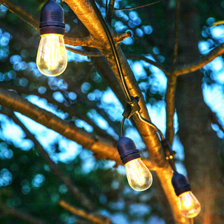 Brightech Ambience Pro - Waterproof LED Outdoor String Lights - 1W Vintage, 48 Ft String