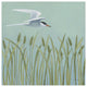 "Free as a Bird I" Digital Paper Print by Kathrine Lovell, 38"x38"