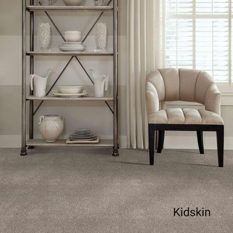 Quiet Sanctuary Shag Area Rug Collection, Kidskin, 4x10