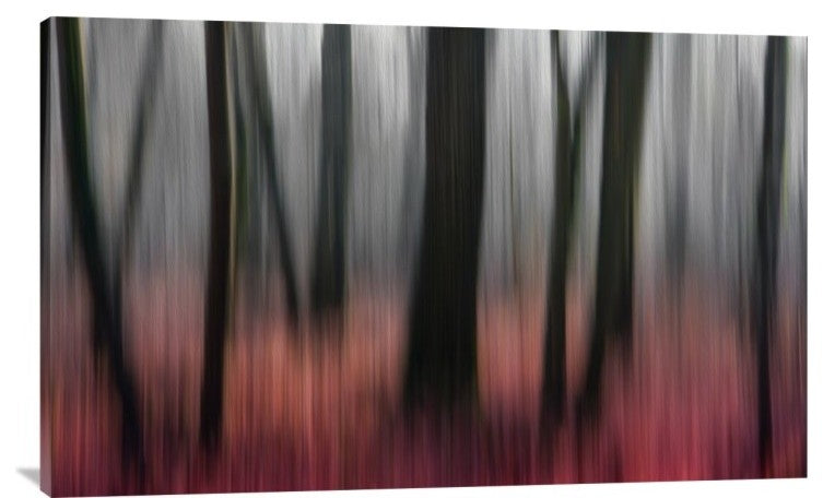"Red Wood" Stretched Canvas Giclee by Gilbert Claes, 40x25"