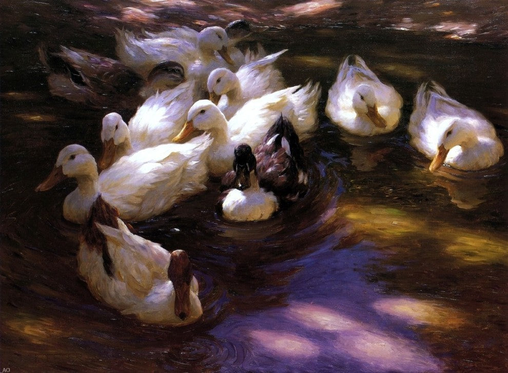 Alexander Koester Eleven Ducks in the Morning Sun Wall Decal