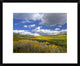 "Gunnison National Forest in fall, Colorado"  by Tim Fitzharris, 24x20"