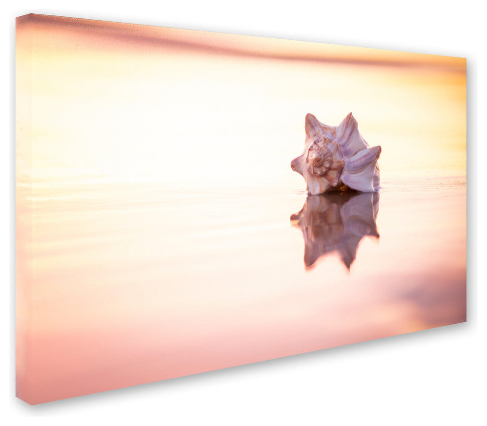 'King of the Beach' Canvas Art by Chris Moyer