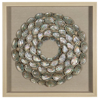 Abalone Shell Rings Shadow Box Wall DÃ©cor