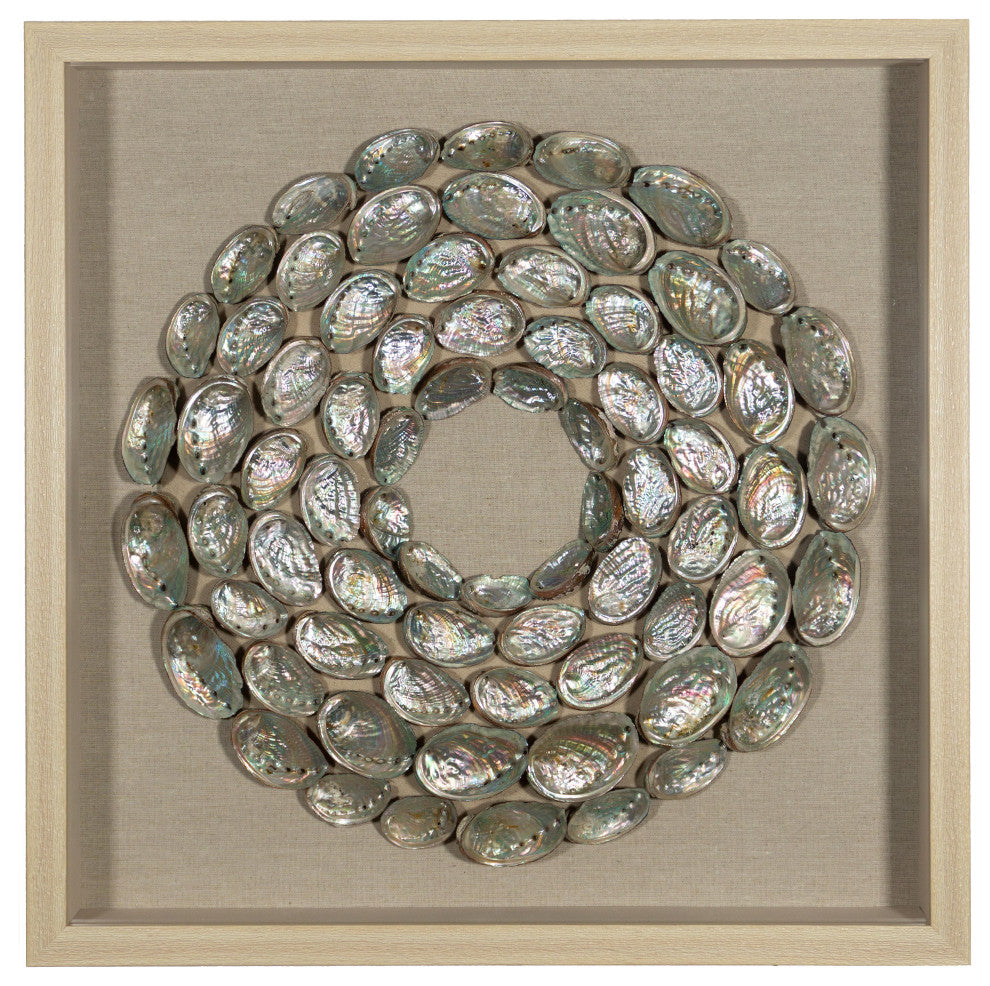 Abalone Shell Rings Shadow Box Wall DÃ©cor
