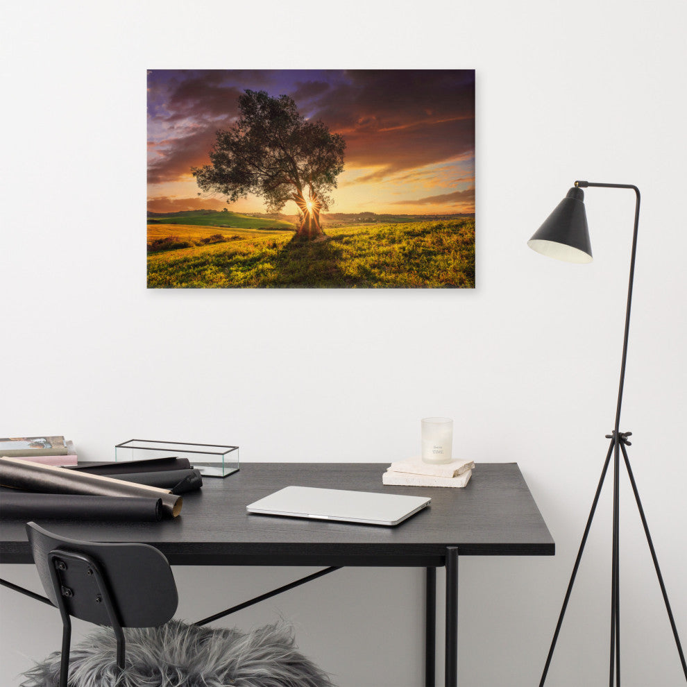 Countryside Olive Tree Sunset Landscape Photo Canvas Wall Art Prints, 24" X 36"