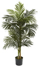 5'' Golden Cane Palm Tree