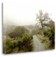 "Oak Tree - 44" By Alan Blaustein, Giclee Print on Gallery Wrap Canvas