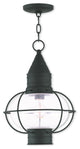 Newburyport 1-Light Chain Lantern, Black
