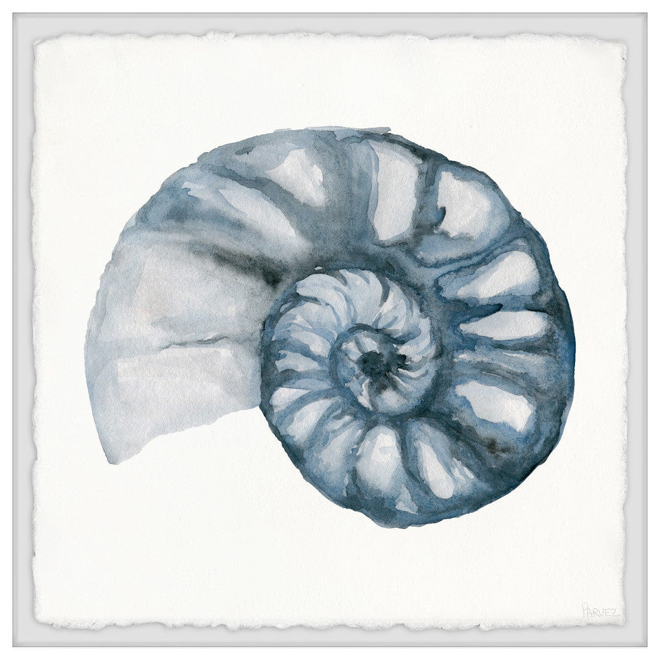 "Shell in Blue" Framed Painting Print, 32"x32"