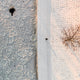 "Splotchy Land" Print on Canvas by Karolis Janulis