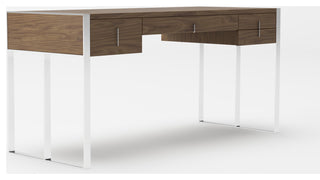 Modrest Orcutt Modern Walnut and Stainless Steel Desk