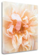 "Promise Rose" By Rebecca Swanson, Giclee Print on Gallery Wrap Canvas