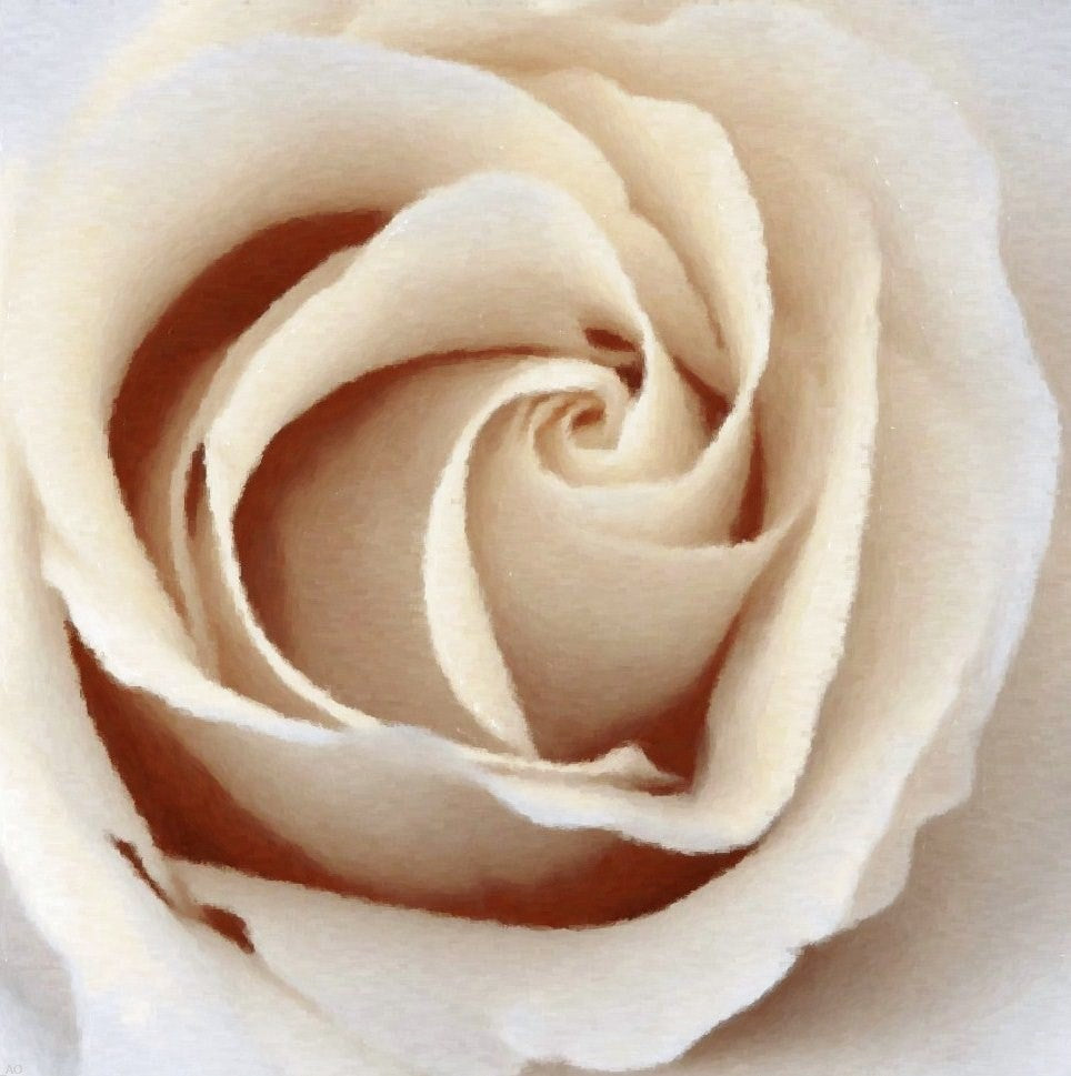 Our Original Collection Pretty Sepia Rose, Gallery Wrapped Canvas, 20"x20"