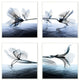 Contrast Black And Blue Flower and Bloom Water Designs 4-Piece Set, 12"x12"
