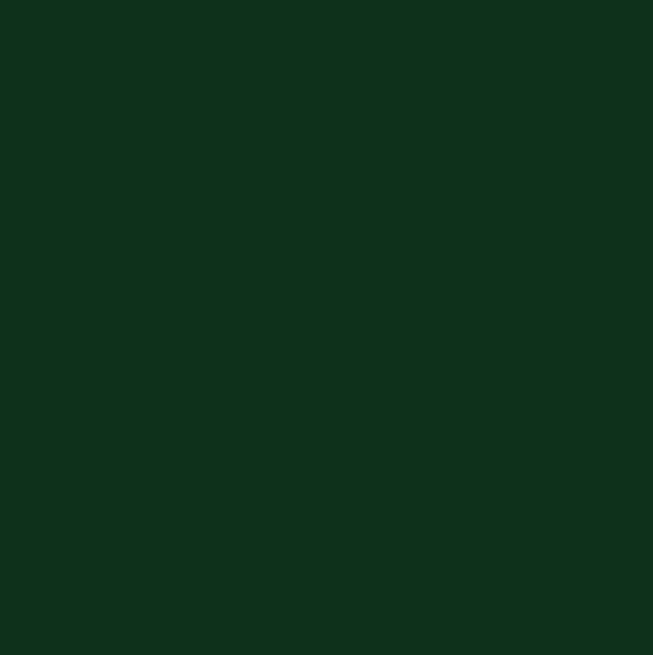 Blazing Needles Renewal 5" Twill Full Futon Mattress, Forest Green